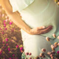 “Rediscovering the Power of the Womb: The Healing Magic of Maya Abdominal Massage”